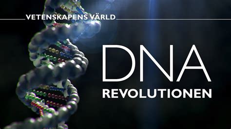 Enormt DNA